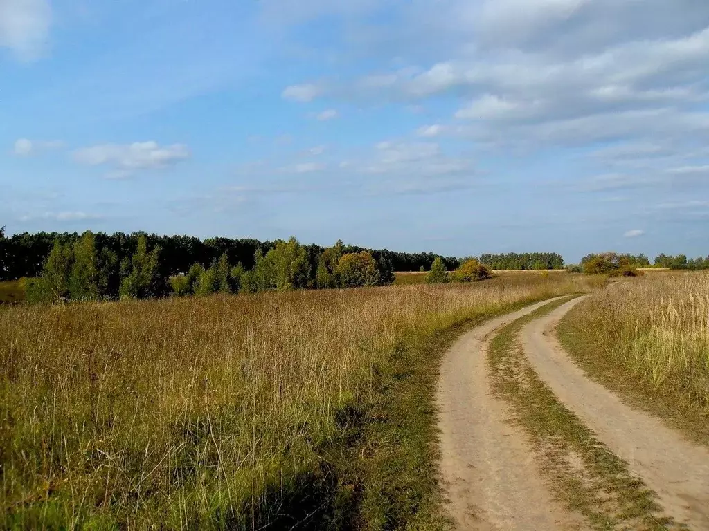 Участок в Рязанская область, Рязанский муниципальный округ, с. Пальное ... - Фото 1