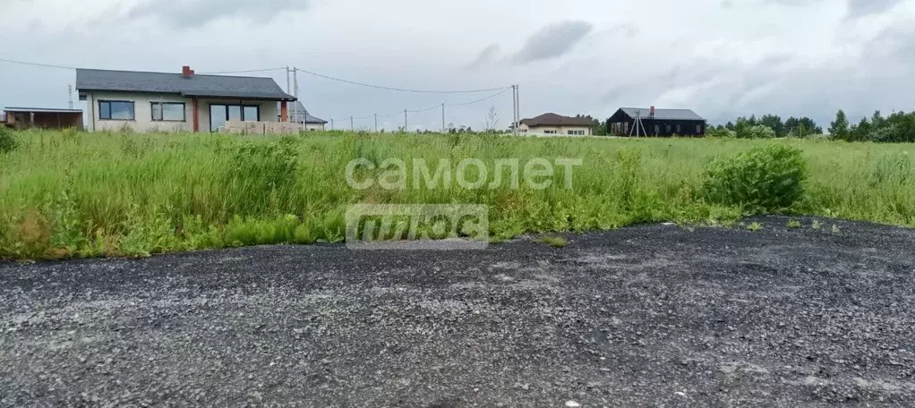 Участок в Московская область, Дмитровский муниципальный округ, Грин ... - Фото 1