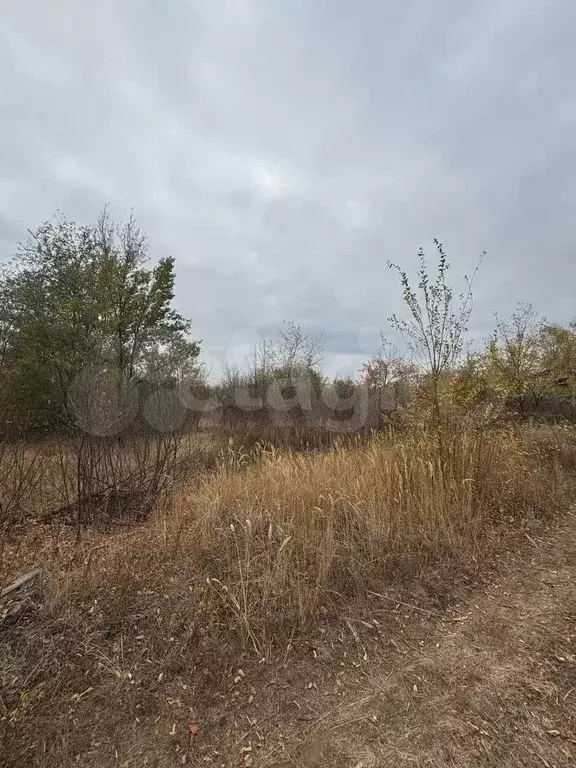 Участок 8 сот. (СНТ, ДНП) - Фото 1