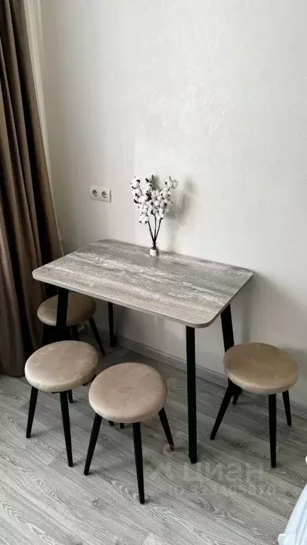 Студия Москва д. Прокшино,  (19.0 м) - Фото 2