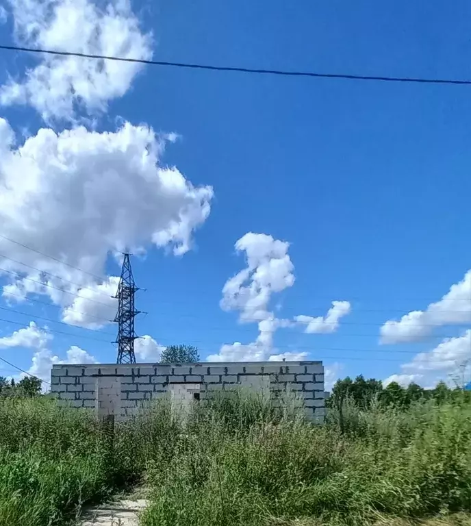 Участок в Алтайский край, Первомайский район, с. Санниково Советская ... - Фото 0