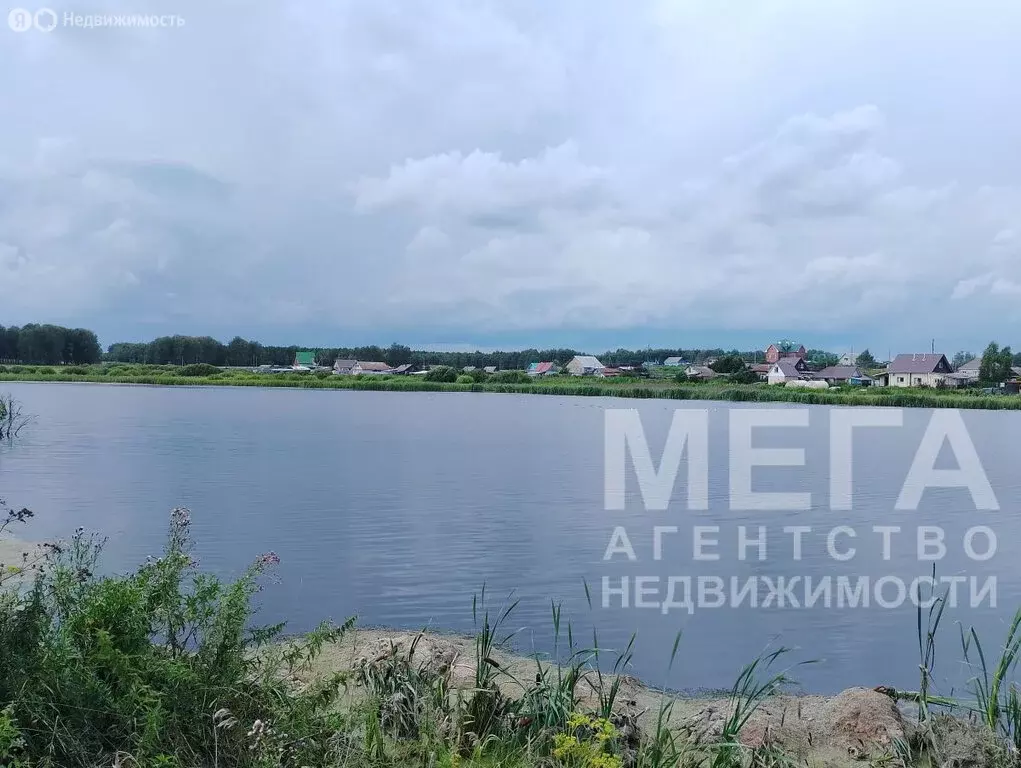 Участок в деревня Шахматово, Лесная улица, 11 (14.24 м) - Фото 0
