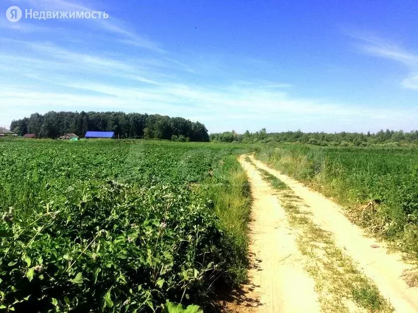 Участок в Тюменский район, село Салаирка (21 м) - Фото 0