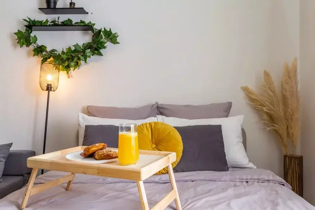 Студия Санкт-Петербург просп. Энергетиков, 9К1 (25.0 м) - Фото 1