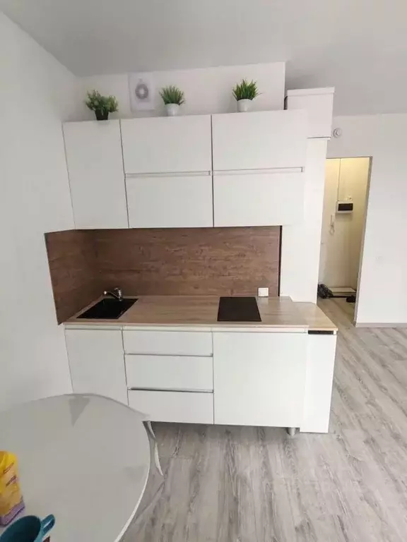 Студия Челябинская область, Челябинский городской округ, пос. Западный ... - Фото 1