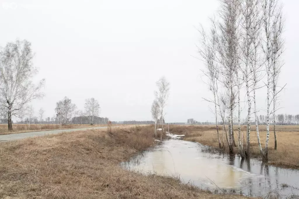 Участок в Искитимский район, деревня Бурмистрово (1020.2 м) - Фото 1