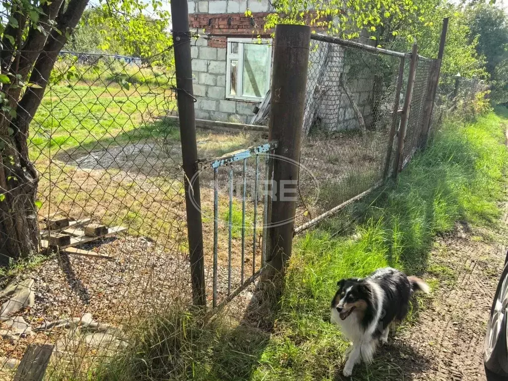 Участок в Калининградская область, Багратионовский муниципальный ... - Фото 1