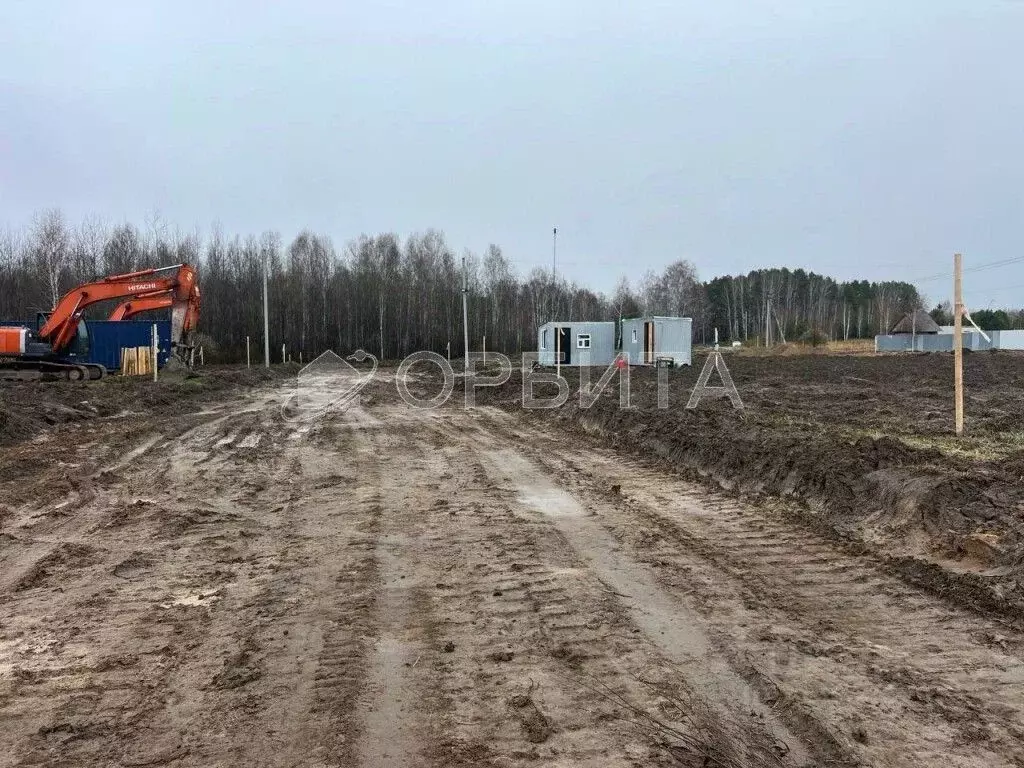 Участок в Тюменская область, Нижнетавдинский район, д. Штакульская  ... - Фото 1