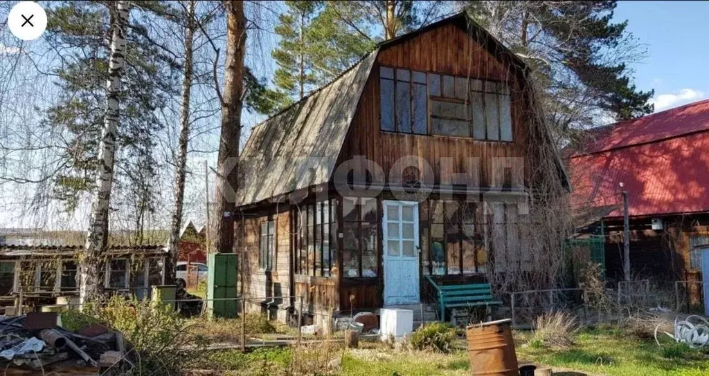 Дом в Новосибирская область, Тогучинский район, Лозанна СТ  (35 м) - Фото 2