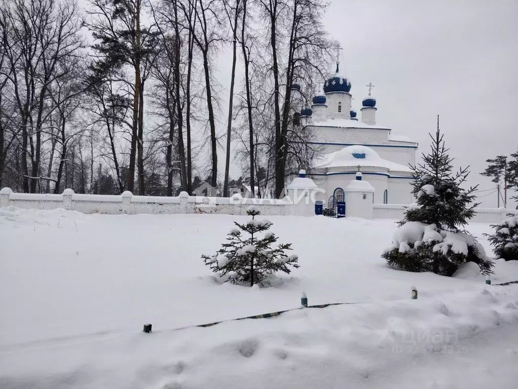 Участок в Владимирская область, Судогодский район, с. Спас-Купалище ... - Фото 2
