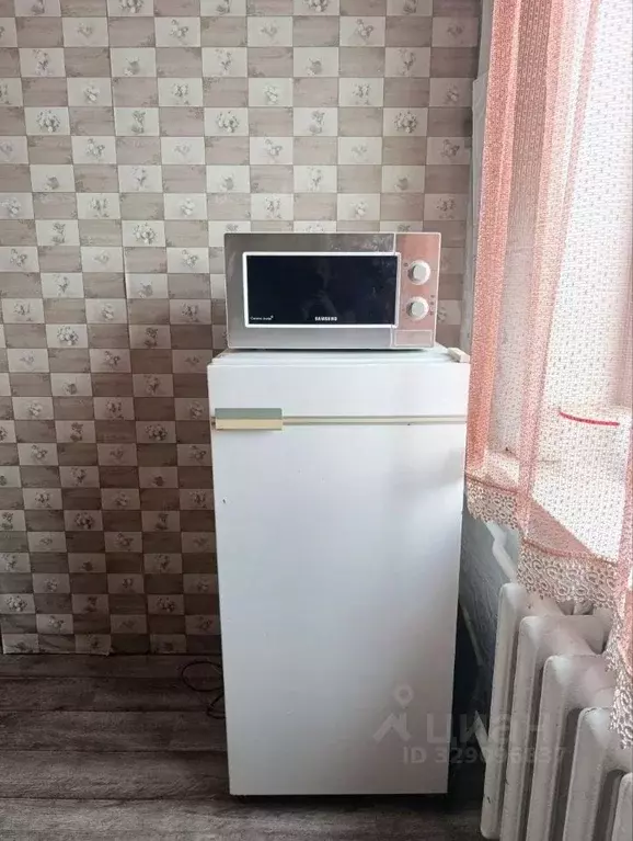 1-к кв. Тыва, Кызыл ул. Кечил-Оола, 7Е (29.5 м) - Фото 2