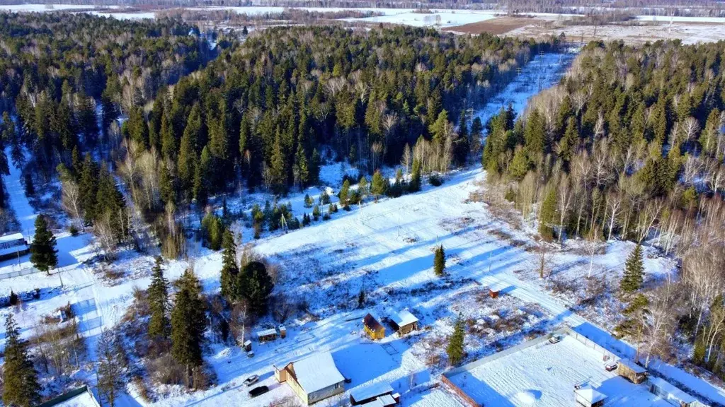 Участок в Томская область, Томский район, д. Кандинка ул. Ясная (9.6 ... - Фото 1