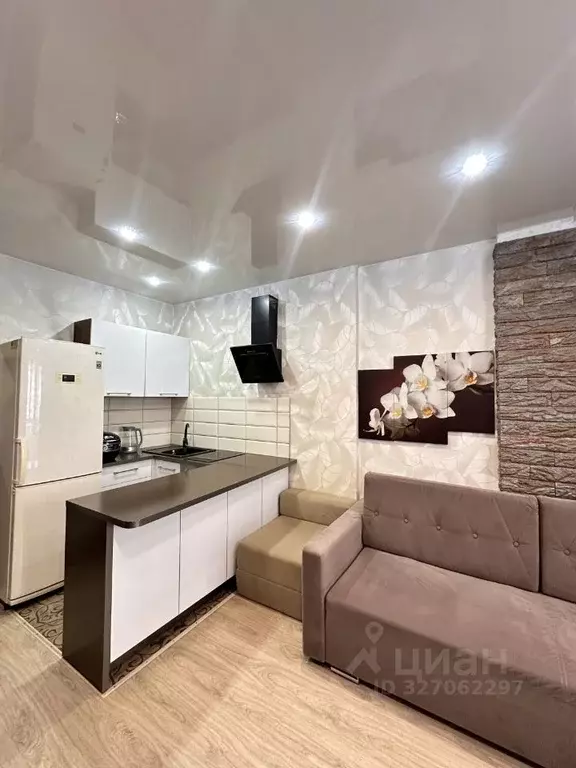 Студия Новосибирская область, Новосибирск ул. Костычева, 74/1 (24.0 м) - Фото 1