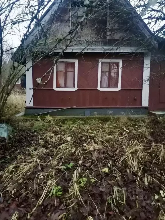 Дом в Псковская область, Плюсса рп ул. Набережная (55 м) - Фото 1