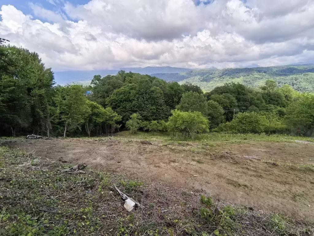 Участок в Краснодарский край, Сочи городской округ, с. Илларионовка  ... - Фото 1