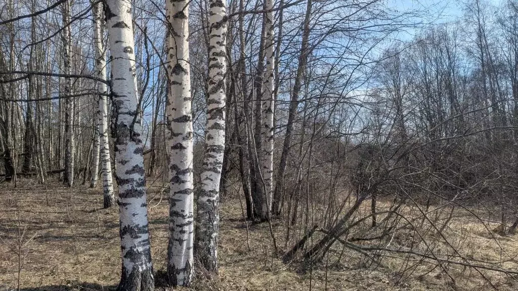Участок в Новгородская область, Демянский муниципальный округ, д. ... - Фото 1