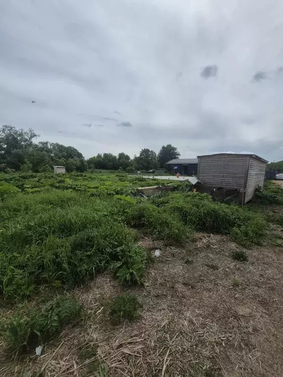 Участок в Московская область, Щелково городской округ, пос. ... - Фото 2