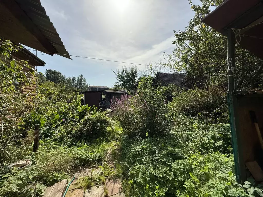 Участок в Москва Северянин СНТ, 84 (4.0 сот.) - Фото 1