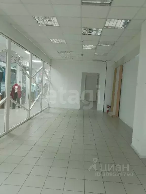 Помещение свободного назначения в Брянская область, Брянск ул. ... - Фото 1