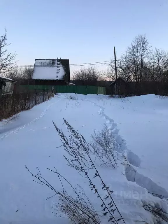 Участок в Новосибирская область, Новосибирск Тополь СНТ, 6-й сектор,  ... - Фото 1