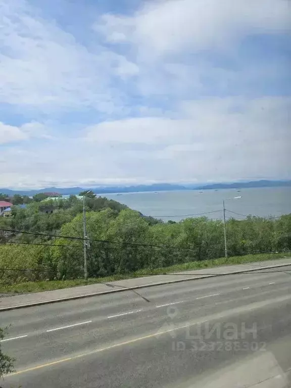 2-к кв. Камчатский край, Петропавловск-Камчатский ул. Красная Сопка, ... - Фото 1