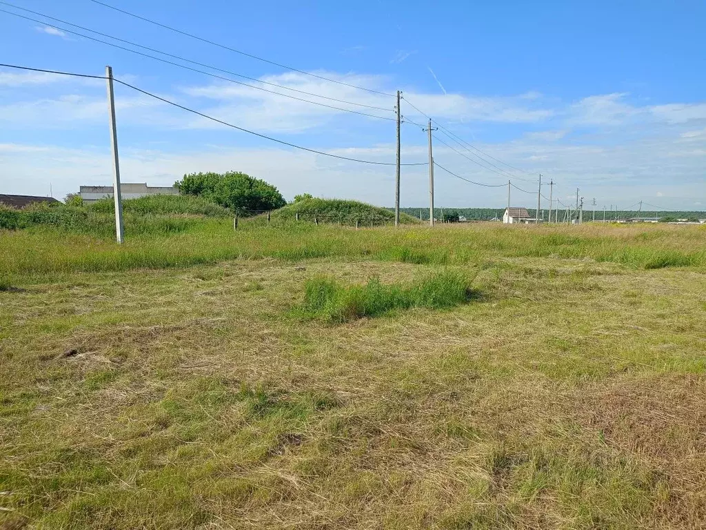 Участок в Челябинская область, Сосновский муниципальный округ, с. ... - Фото 1