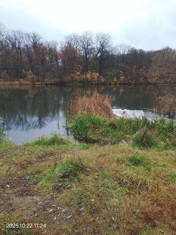 Дом в Тамбовская область, Тамбов городской округ, д. Перикса ул. ... - Фото 2