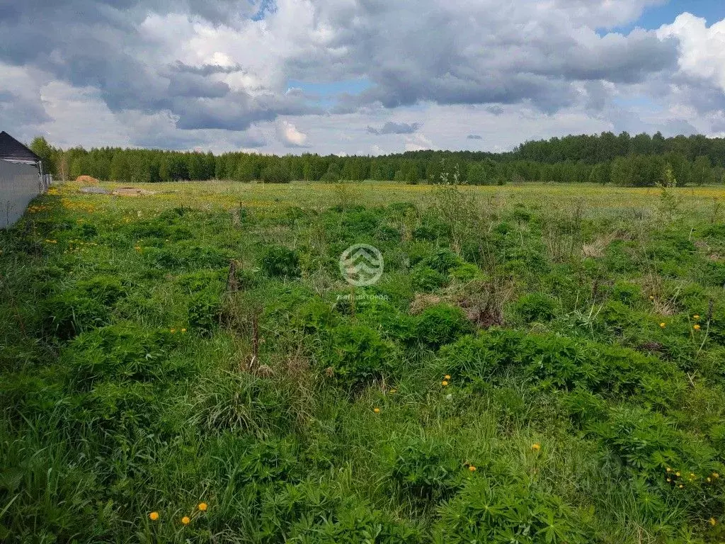 Участок в Московская область, Солнечногорск городской округ, д. ... - Фото 1