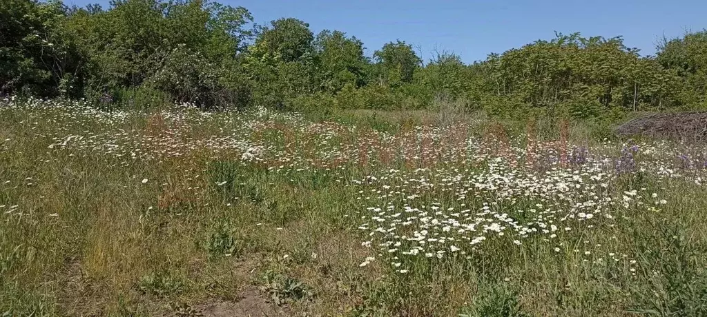 Участок в Ростовская область, Новочеркасск Айвовая ул., 29 (6.0 сот.) - Фото 1