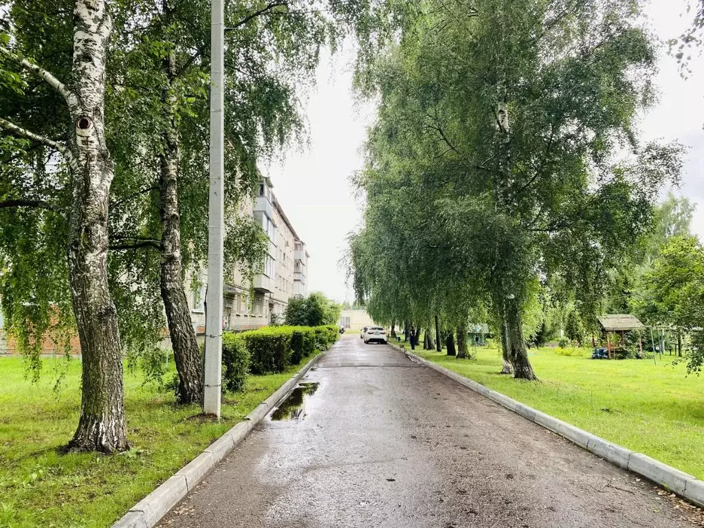 3-к кв. Московская область, Шатура ул. Новый Тупик, 1 (60.3 м) - Фото 2