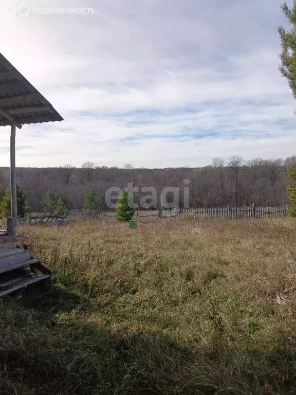 Участок в Гафурийский район, Красноусольский сельсовет, село ... - Фото 0