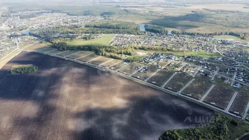 Участок в Тюменская область, Тюменский район, с. Кулига, Сказка кп  ... - Фото 1