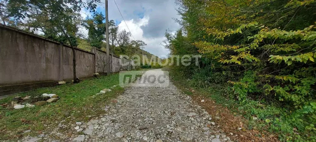 Участок в Краснодарский край, Туапсинский муниципальный округ, с. ... - Фото 2