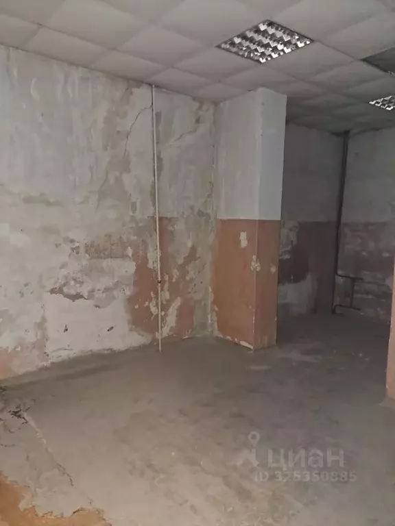 Помещение свободного назначения в Челябинская область, Златоуст ул. ... - Фото 2