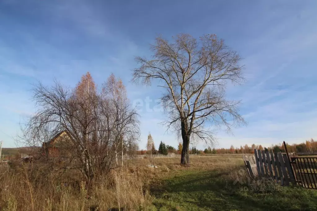 Участок в Свердловская область, Горноуральский городской округ, пос. ... - Фото 1