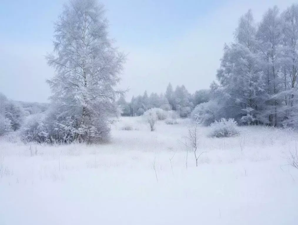 Участок в Ярославская область, Гаврилов-Ямский муниципальный округ, с. ... - Фото 2