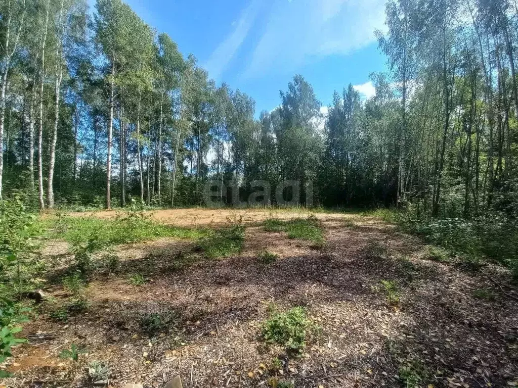 Участок в Марий Эл, Оршанский район, Марковское с/пос, с. Табашино ул. ... - Фото 1