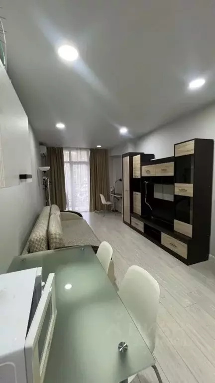 Студия Краснодарский край, Сочи Светлана мкр, ул. Лысая Гора, 27/28 ... - Фото 1