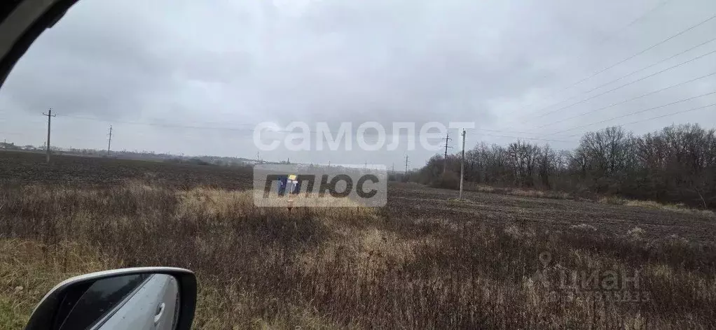 Участок в Курская область, Курский район, Рышковский сельсовет, ... - Фото 2