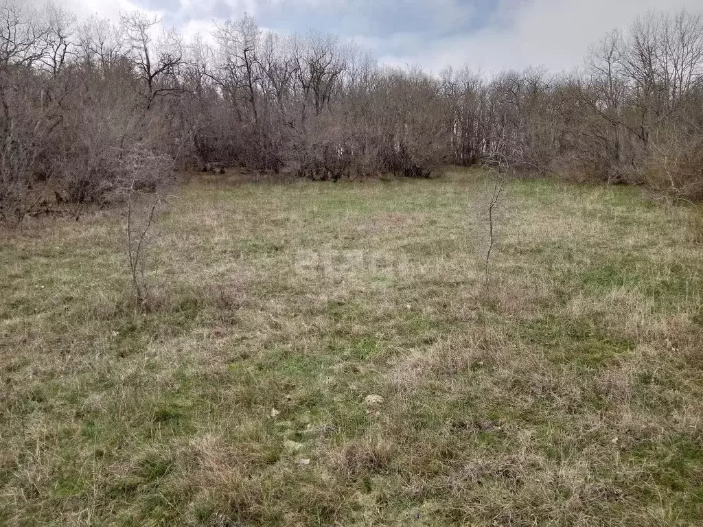 Участок в Краснодарский край, Новороссийск Цемдолина тер., ул. ... - Фото 1