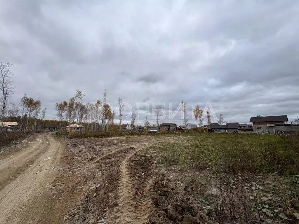 Участок в Тюменская область, Тюмень Березняки СНТ,  (12.0 сот.) - Фото 1