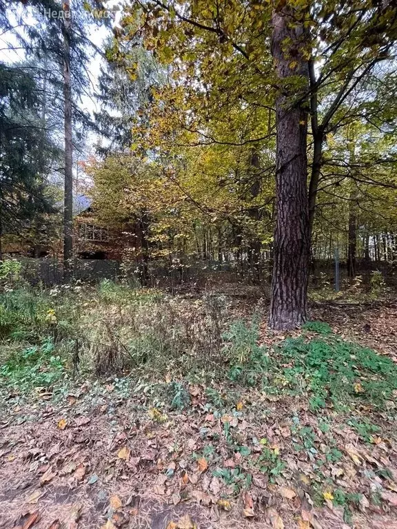Участок в Московская область, городской округ Пушкинский, село ... - Фото 1