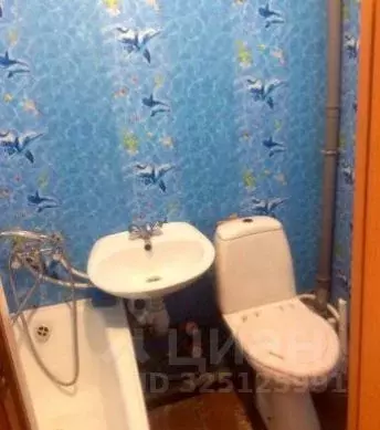 Студия Хакасия, Абакан ул. Кати Перекрещенко, 6 (14.0 м) - Фото 2