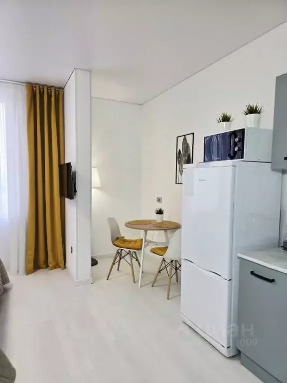 Студия Санкт-Петербург просп. Ветеранов, 214 (24.0 м) - Фото 2