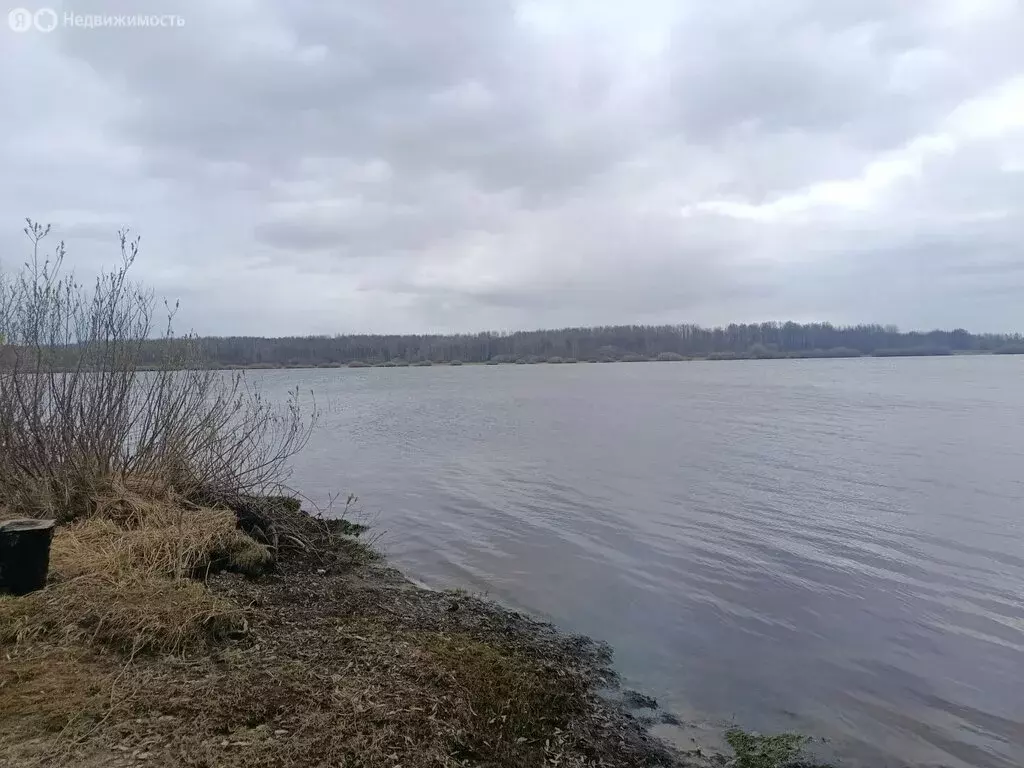 Участок в Новгородская область, Шимское городское поселение, деревня ... - Фото 1