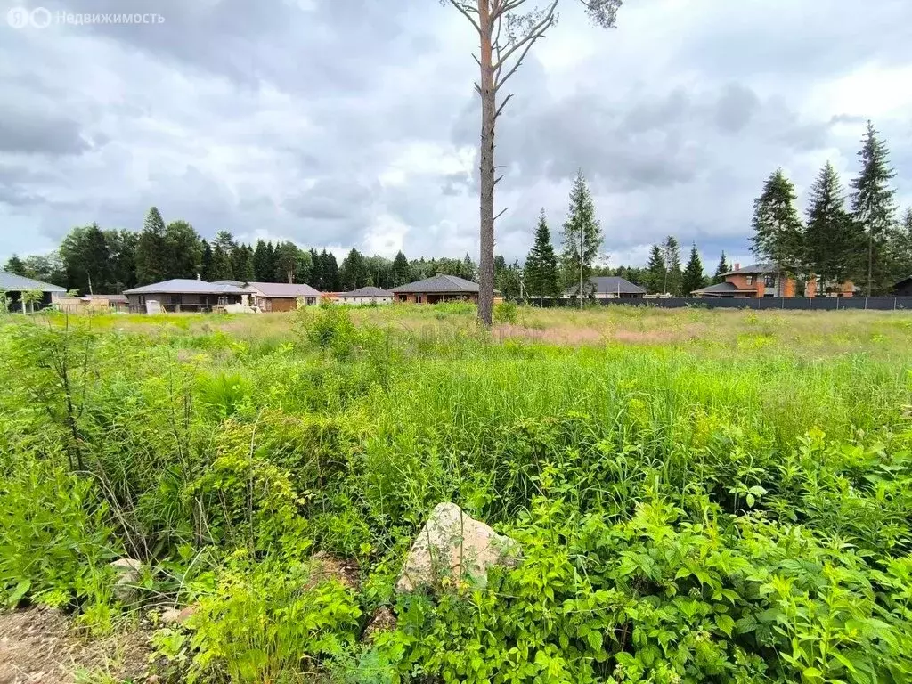 Участок в деревня Турейка, уч12 (15 м) - Фото 2