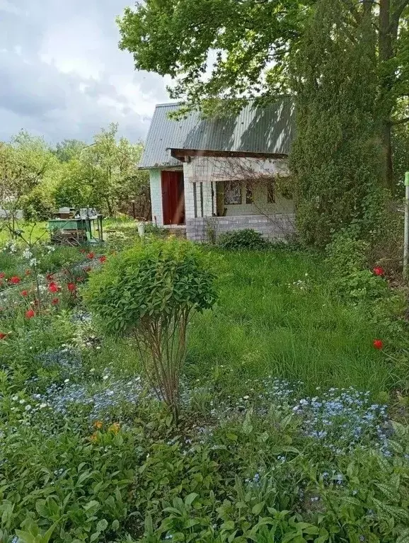 Дом в Нижегородская область, Кстово Лесное СНТ, 217 (50 м) - Фото 1