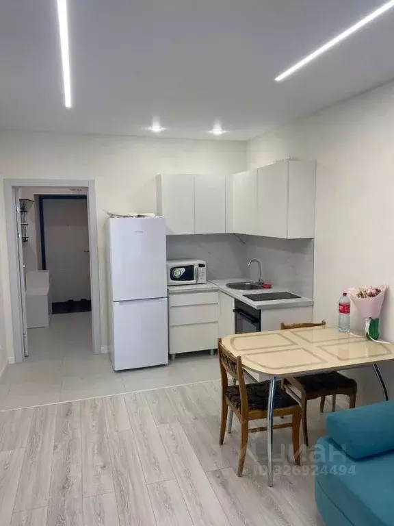 Студия Башкортостан, Уфа ул. Гафури, 88/1 (28.0 м) - Фото 2