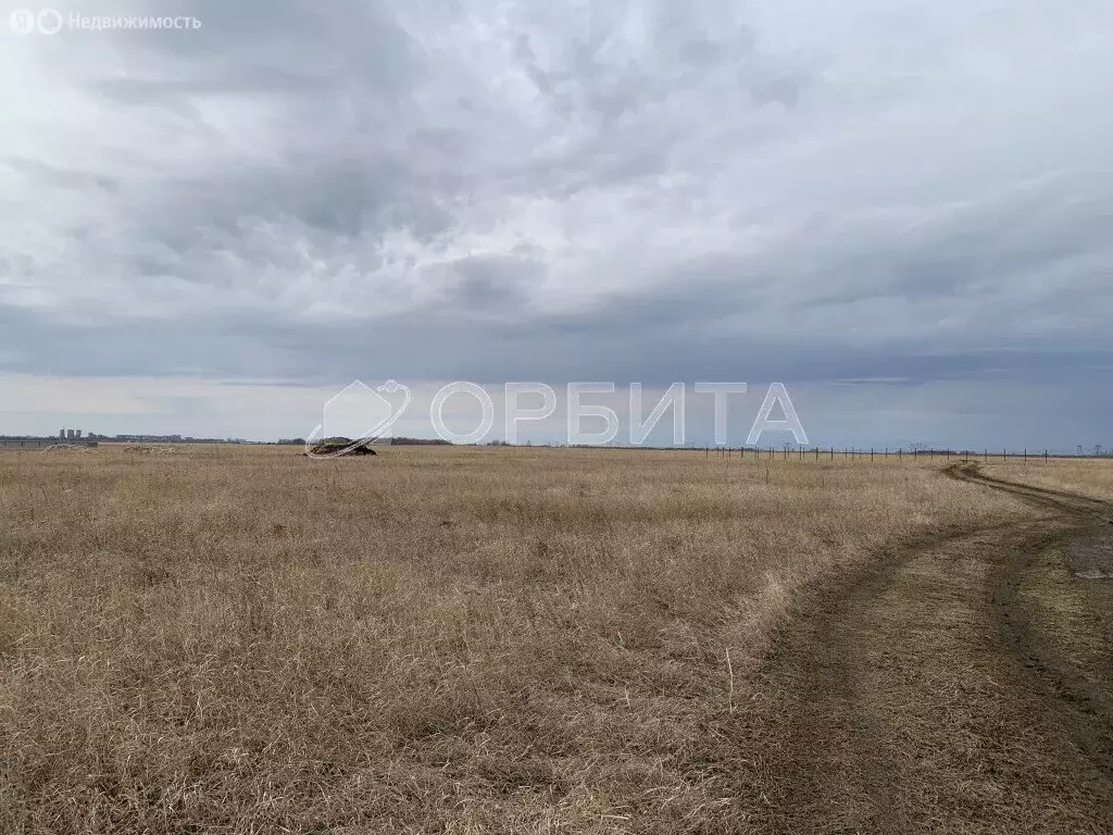 Участок в Тюменский район, село Чикча (8.12 м) - Фото 0
