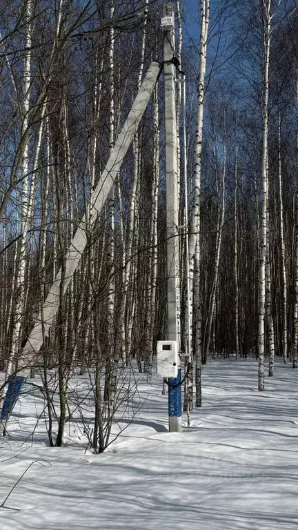 Участок в Московская область, Раменский муниципальный округ, с. ... - Фото 2